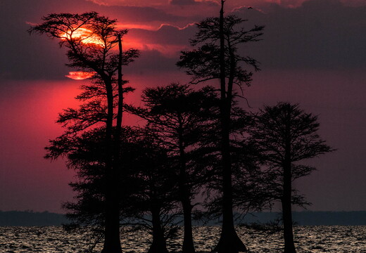 IMG 7045-Edit-2